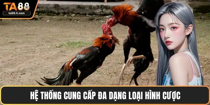 Hệ thống cung cấp đa dạng loại hình cược