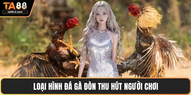 Loại hình đá gà đòn thu hút người chơi