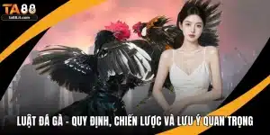 Luật Đá Gà - Quy Định, Chiến Lược Và Lưu Ý Quan Trọng