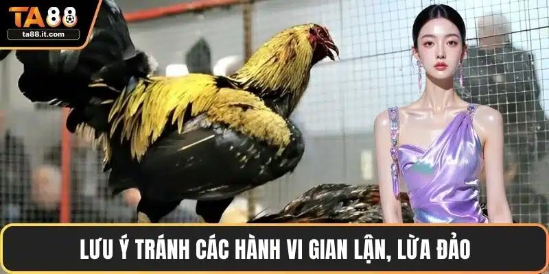 Lưu ý tránh các hành vi gian lận, lừa đảo