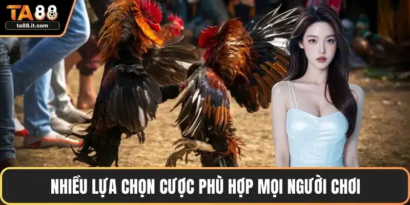 Nhiều lựa chọn cược phù hợp mọi người chơi